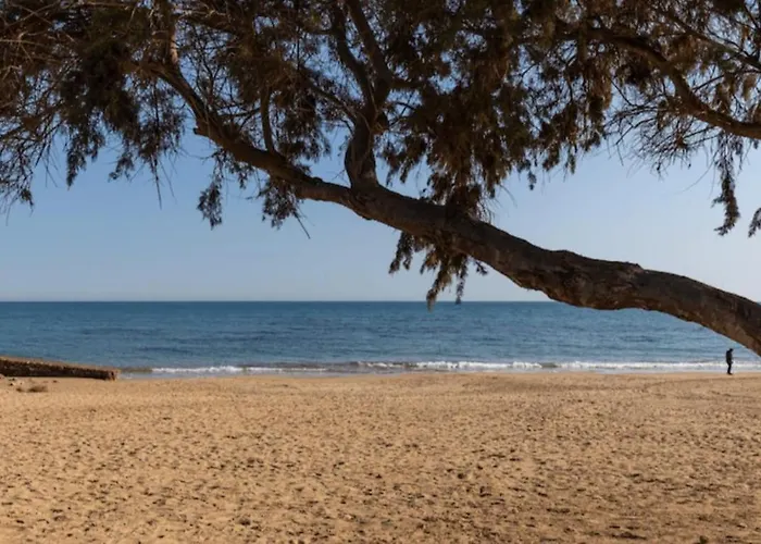 Small Torrevieja